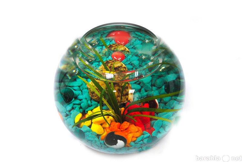 Продам: Мини аквариум Яркий и необычный подарок