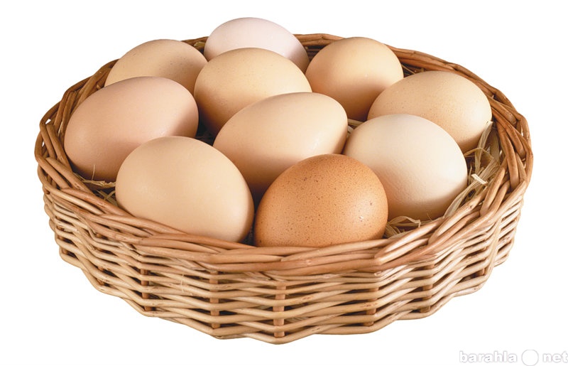 Продам: яйцо куриное