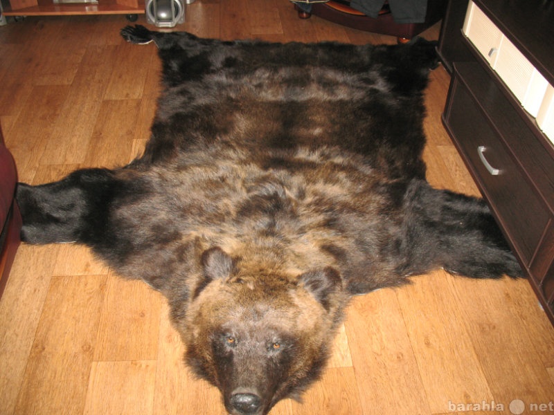 Кому продать легендарную шкуру. Шкура медведя. Выделанная шкура медведя. Продается медвежья шкура.
