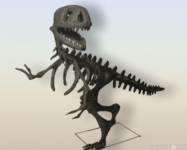Продам: Скульптура. Скелет динозавра