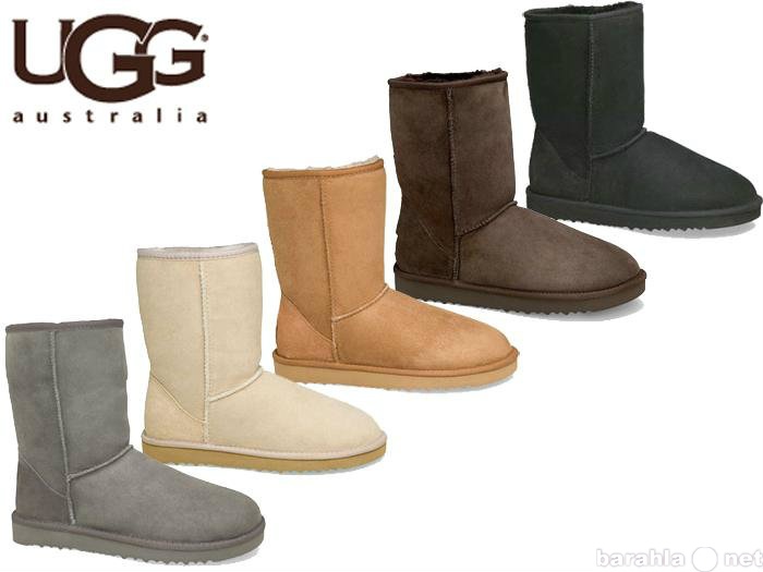 Предложение: UGG Australia