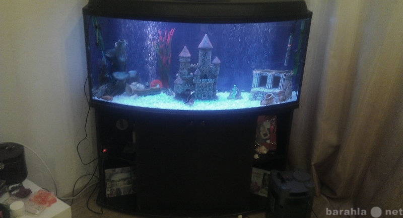 Продам: аквариум 300 литров