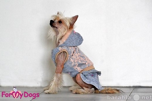 Продам: одежда для собак Омск