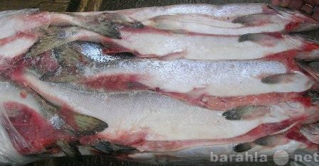Продам: Оптовые поставки дальневосточной рыбы