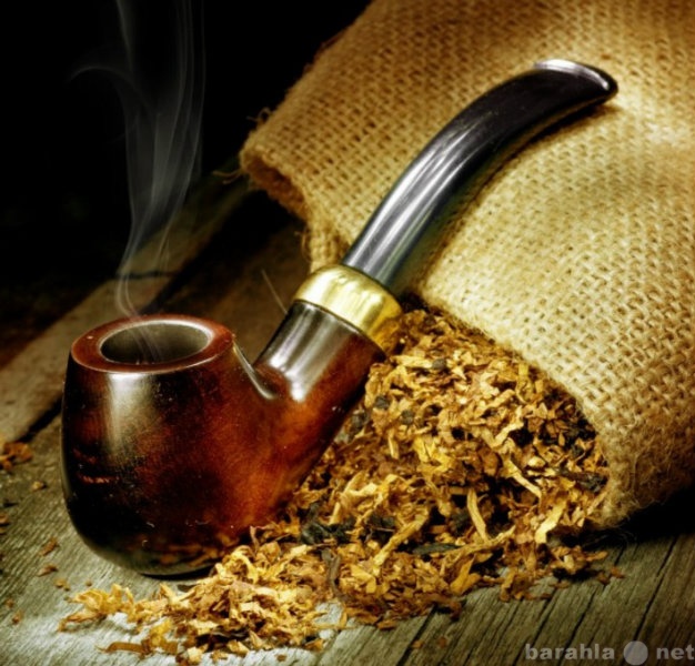 Продам: семена табака курительного и махорки