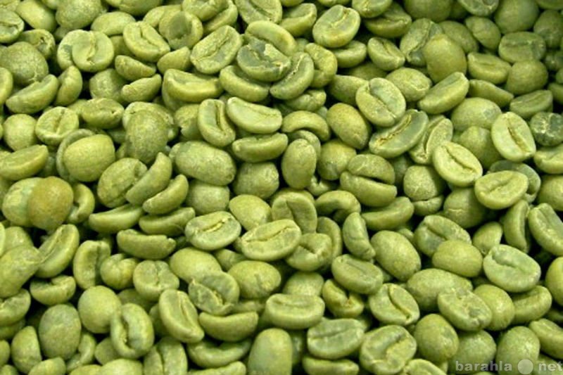 Продам: Зеленый Кофе