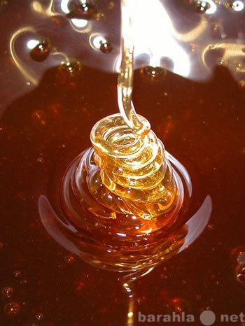 Продам: Цветочный мед от производителя(имеется с