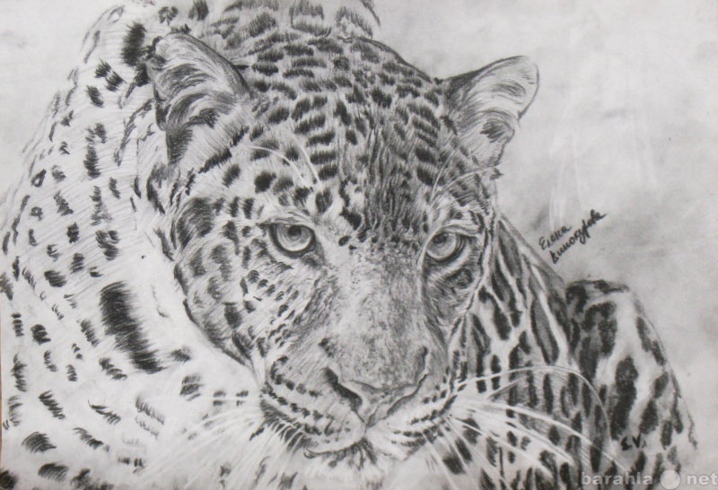 Продам: Картина "Леопард"