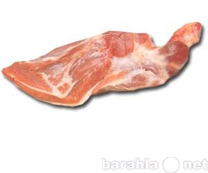 Продам: Мясо баранины