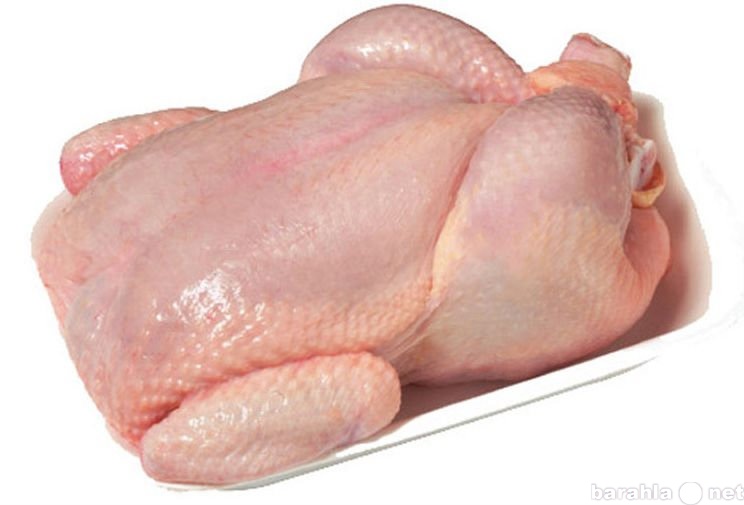 Продам: Мясо курицы