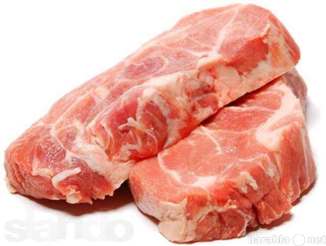 Продам: Мясо говядины