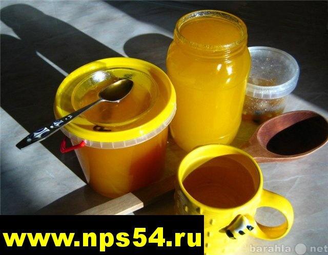 Продам: Купить мёд Алтайский в Новосибирске