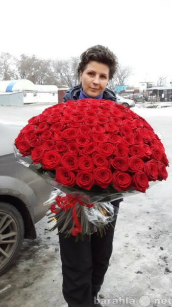 Продам: Розы в Липецке по оптовым ценам