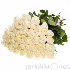 Продам: Букет из 51 белой розы
