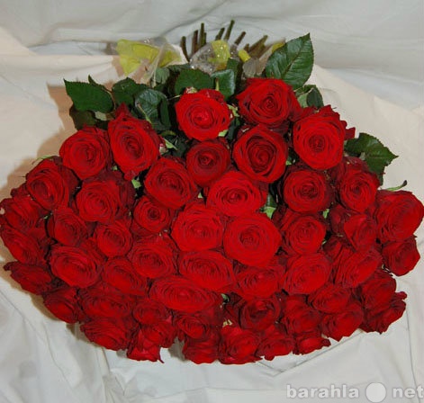 Продам: Розы красные, белые, розовые