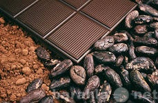 Продам: Какао-бобы натуральные2485012чб