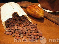 Продам: Какао натуральные бобы