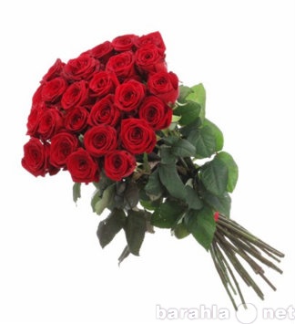 Продам: Букет из 25 красных роз
