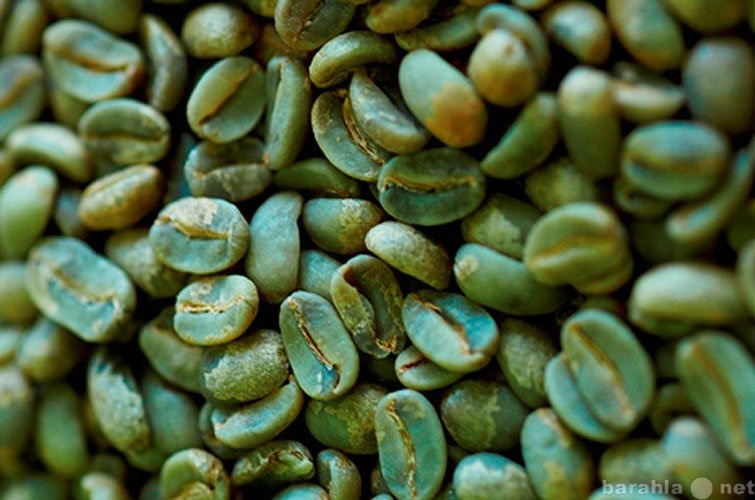 Продам: Зеленый кофе с имбирем