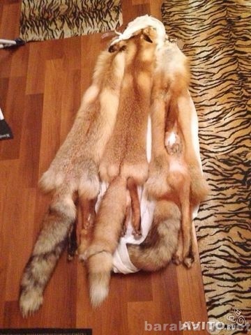 Продам: Мех лисы
