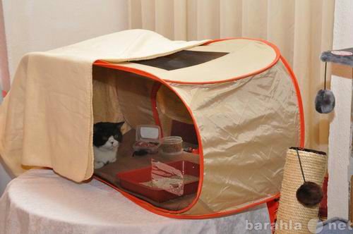 Продам: выставочная палатка