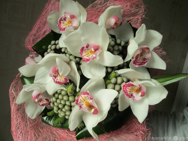 Продам: Букет из орхидей