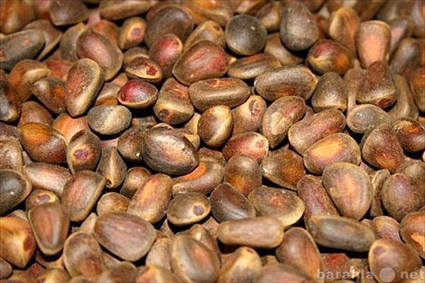 Продам: Кедровый орех урожай 2013