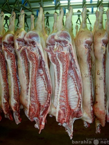 Продам: мясо свинина свежемороженая
