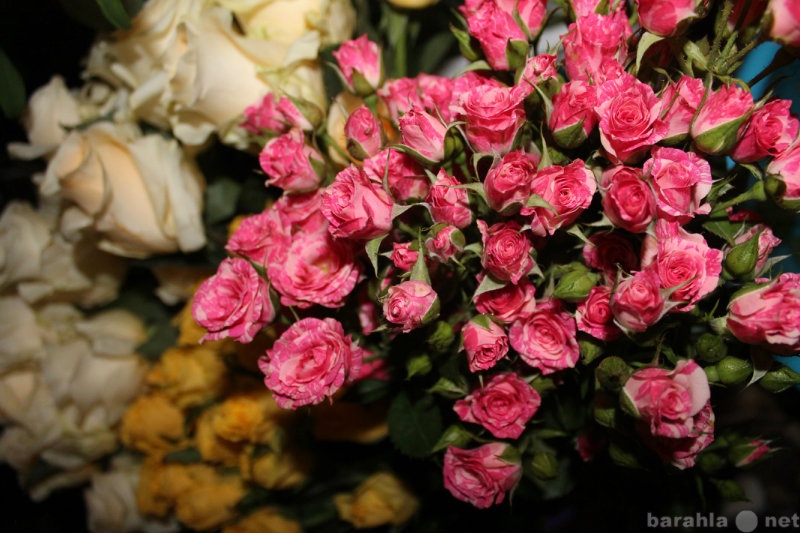 Продам: Кустовые розы. Розы 50 см. Свадебные бук