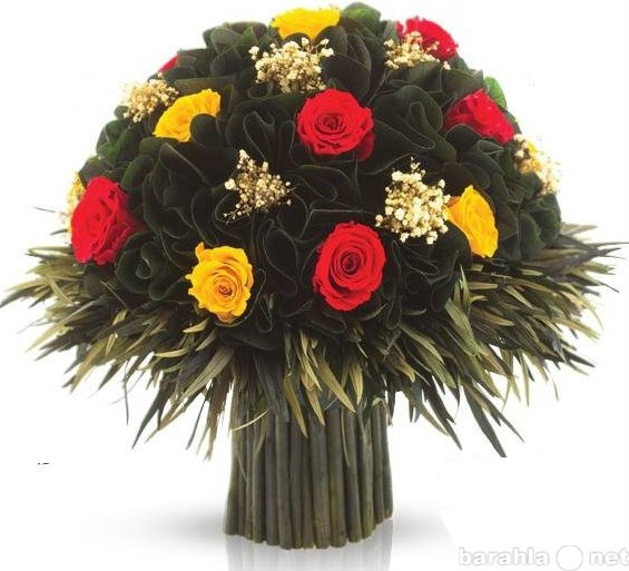Продам: Стабилизированные цветы " VERMONT &