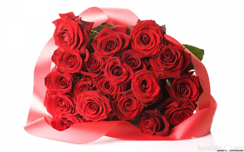 Продам: Розы красные, Эквадор