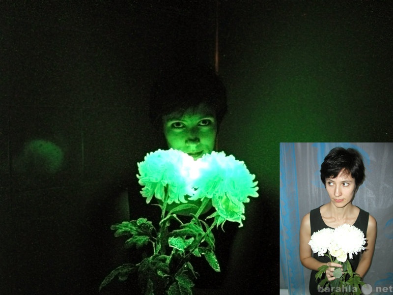 Продам: светящийся биогель для цветов