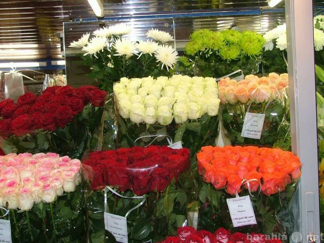 Продам: продаю цветы (доставка на адрес)