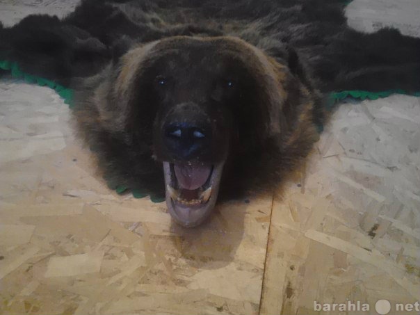 Продам: Новый ковер шкуры медведя с головой