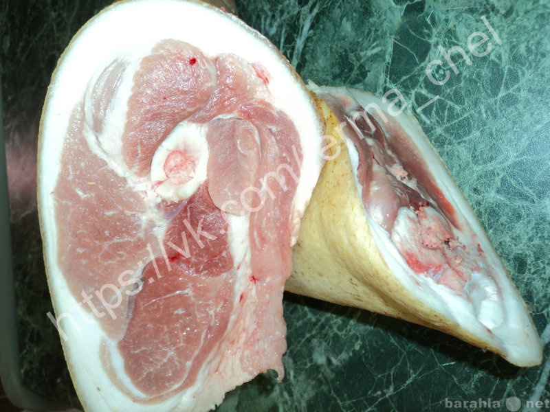 Продам: Мясо Свинина