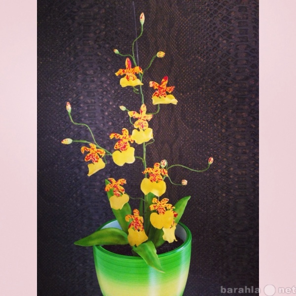 Продам: Орхидея их сахара. Идеальный подарок