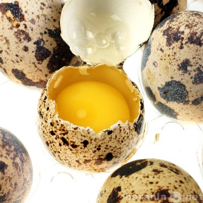 Продам: Яйцо перепелиное