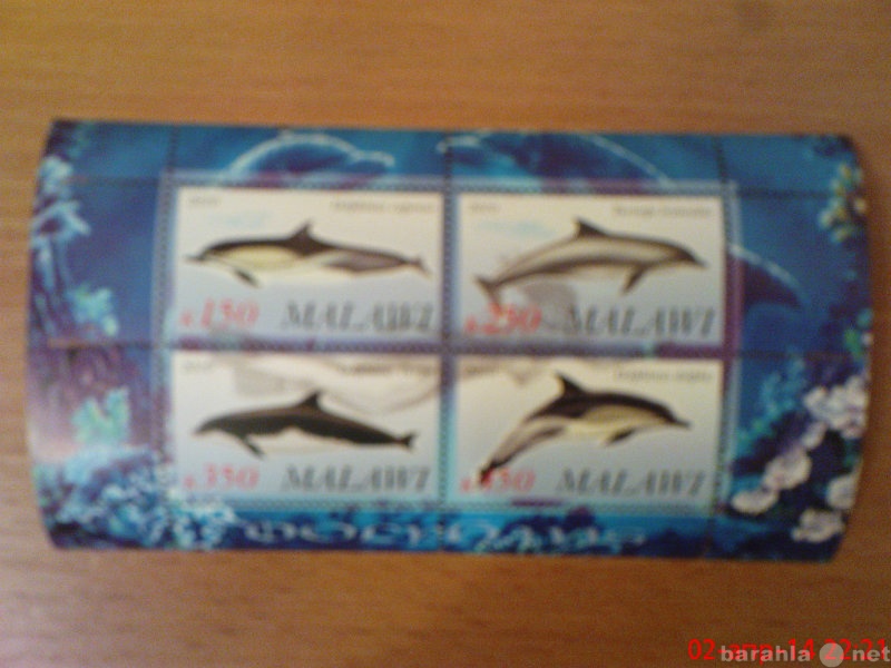 Продам: дельфины 2