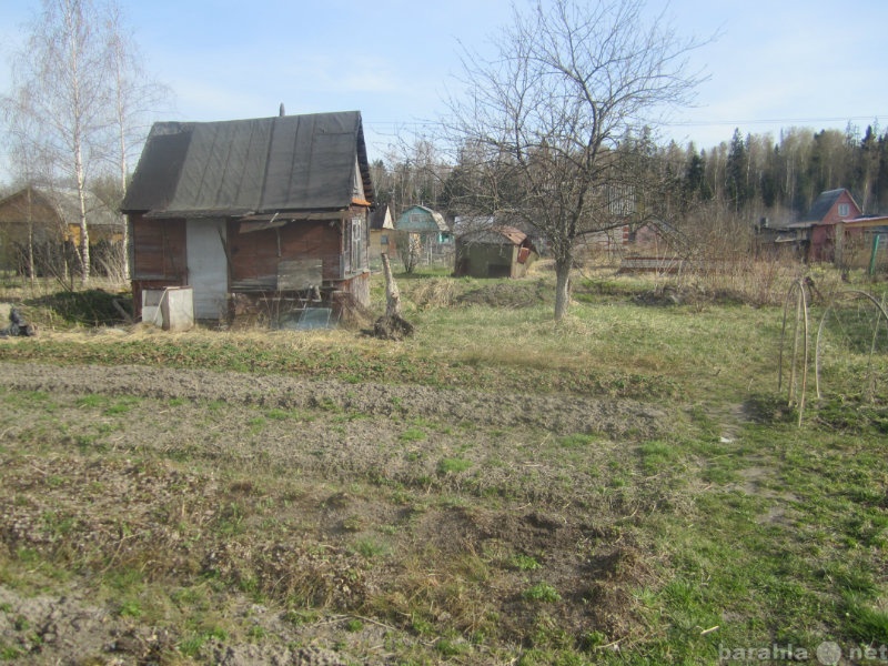 Продам: участок с небольшим садовым домиком