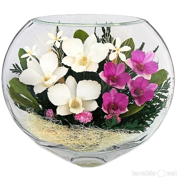 Продам: Живые невянущие цветы в стекле в вакууме