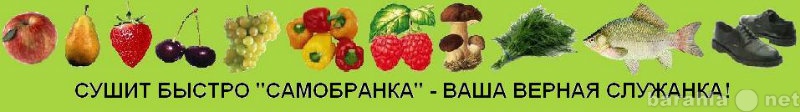 Продам: Сушилка Самобранка овощная фруктовая