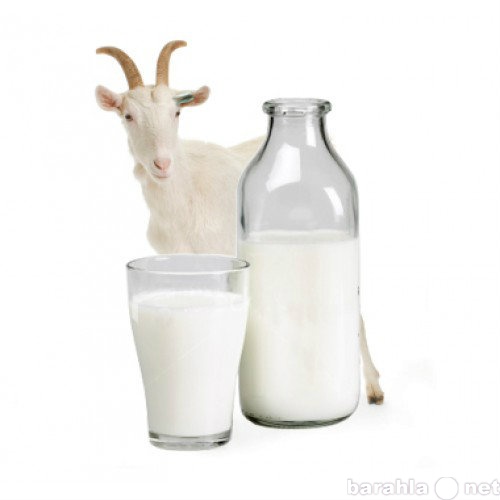 Продам: козье молоко