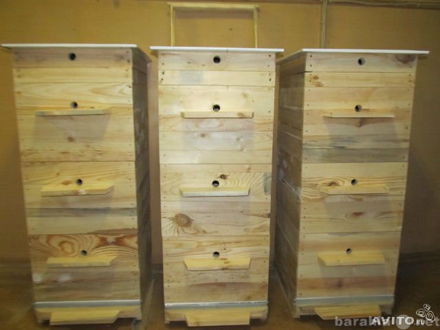 Продам: Пчелосемьи, ульи и рамки (улей, рамка)