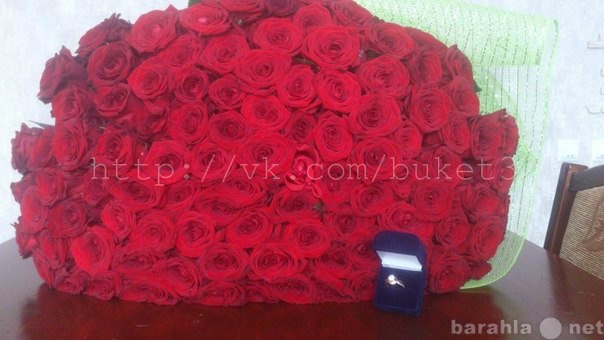 Продам: 101 роза, цветы, букет роз