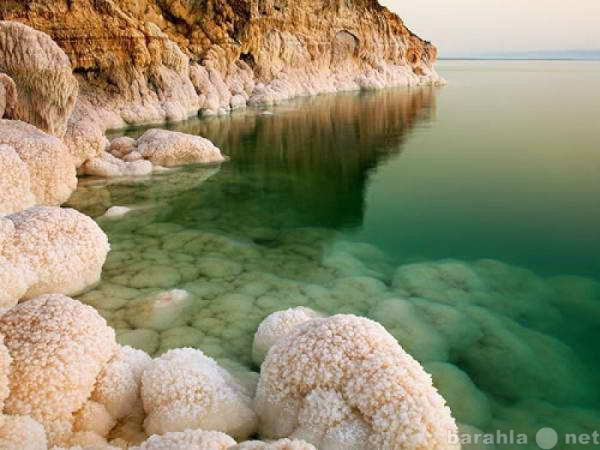 Продам: Соль Мертвого моря оптом