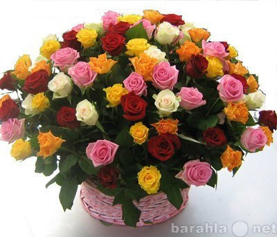 Продам: Доставка цветов в Новосибирске и области
