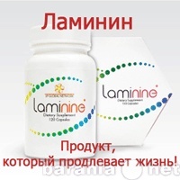 Продам: Ламинин- 120 капсул на курс приёма