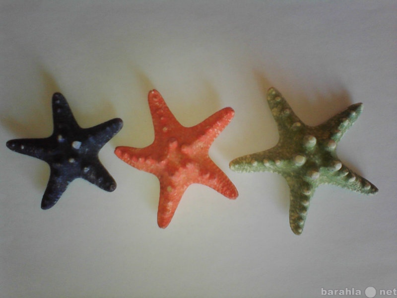 Продам: Ракушки, морские звезды