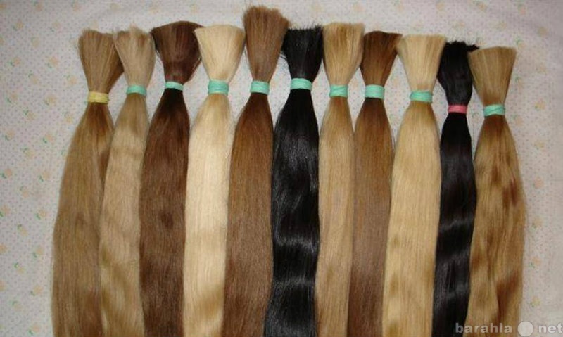Продам: волос Славянский отборный 60 - 65 см