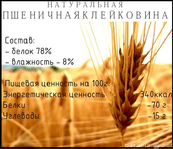 Продам: Пшеничная клейковина, Глютен